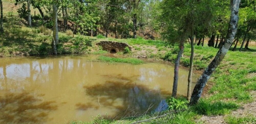Fazenda à venda com 4 quartos, 508200m² - Foto 7