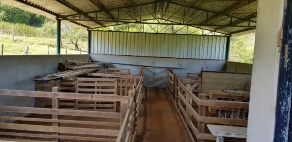 Fazenda, 51 hectares - Foto 22