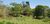 Fazenda-Sítio-Chácara, 51 hectares - Foto 14
