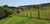 Fazenda-Sítio-Chácara, 51 hectares - Foto 15