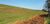 Fazenda-Sítio-Chácara, 51 hectares - Foto 9