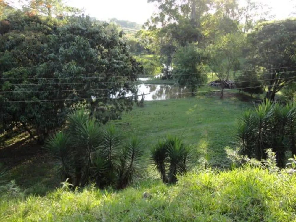 Sítio, 3 quartos, 4 hectares - Foto 14