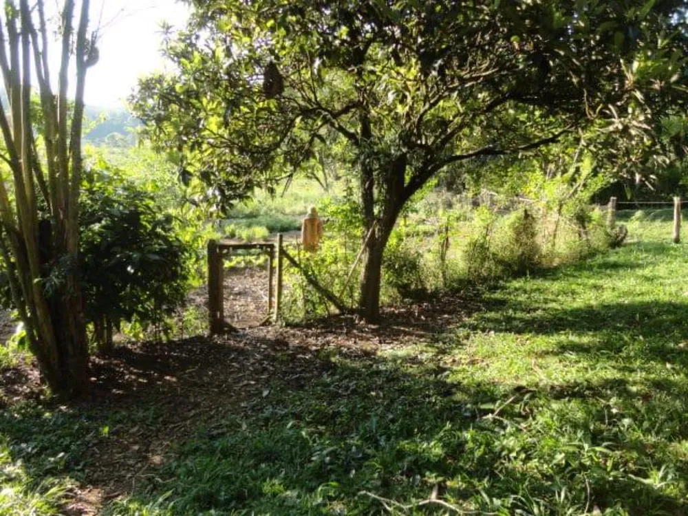Sítio, 3 quartos, 4 hectares - Foto 15