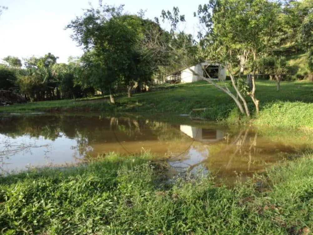 Sítio, 3 quartos, 4 hectares - Foto 13