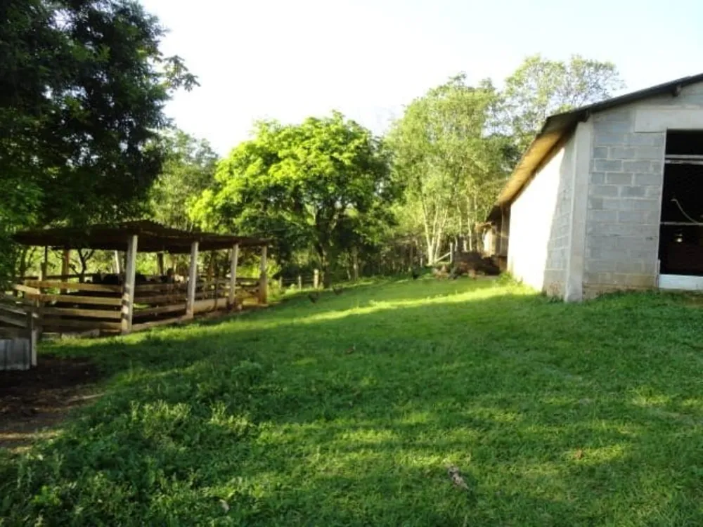 Sítio, 3 quartos, 4 hectares - Foto 6