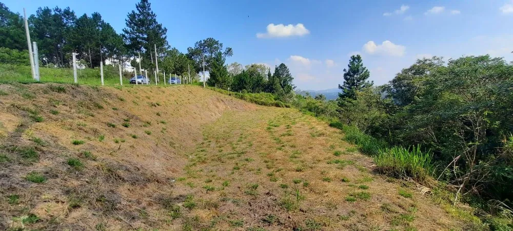 Terreno, 3203 m² - Foto 4