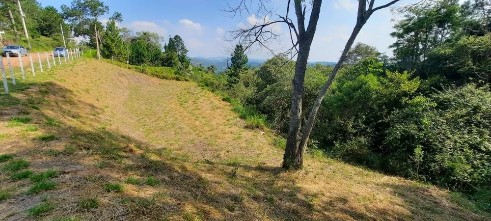 Terreno, 3203 m² - Foto 1
