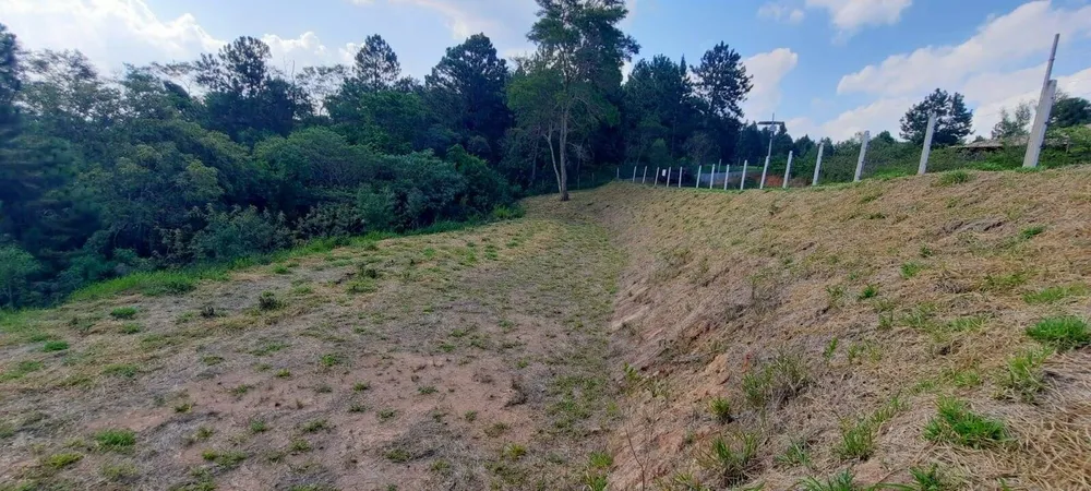 Terreno, 3203 m² - Foto 5