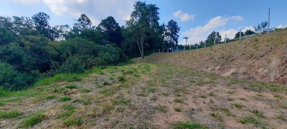 Terreno, 3203 m² - Foto 7