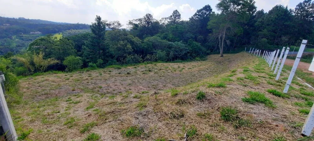 Terreno, 3203 m² - Foto 6