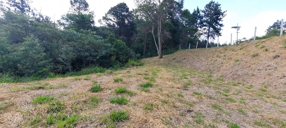 Terreno, 3203 m² - Foto 3