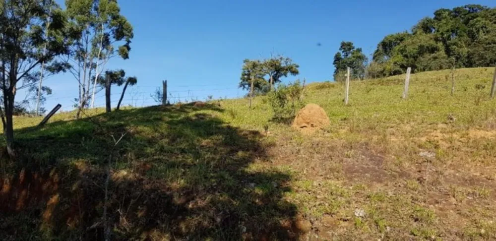 Sítio, 5 quartos, 19 hectares - Foto 12