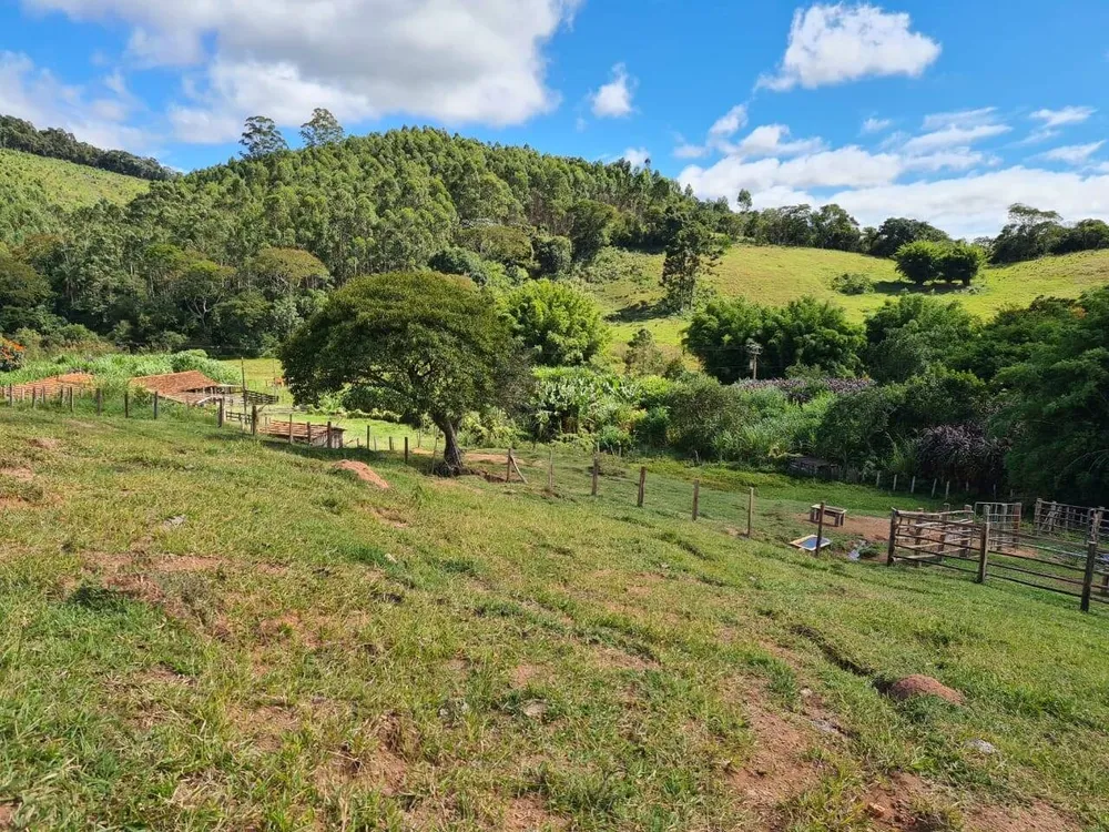 Sítio, 3 quartos, 51 hectares - Foto 1