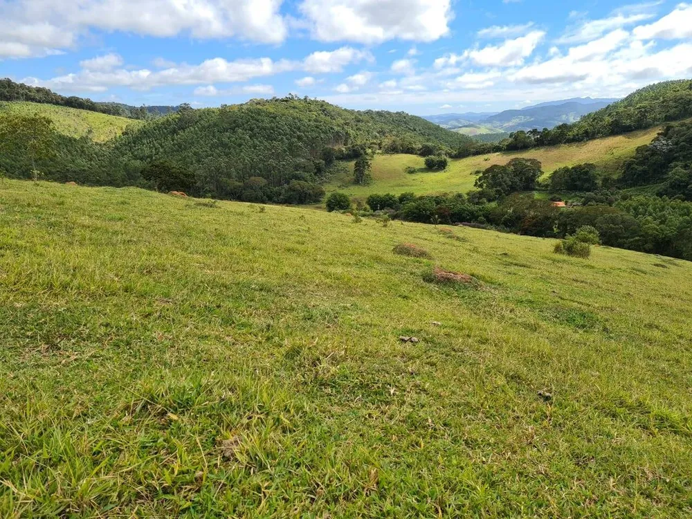 Sítio, 3 quartos, 51 hectares - Foto 16