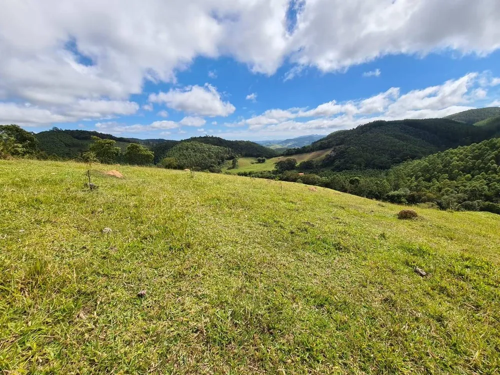 Sítio, 3 quartos, 51 hectares - Foto 14