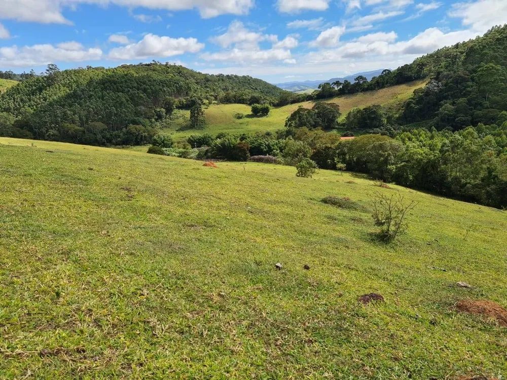Sítio, 3 quartos, 51 hectares - Foto 7