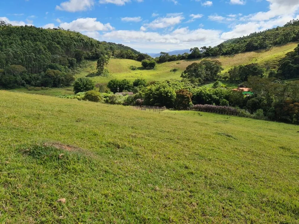 Sítio, 3 quartos, 51 hectares - Foto 6