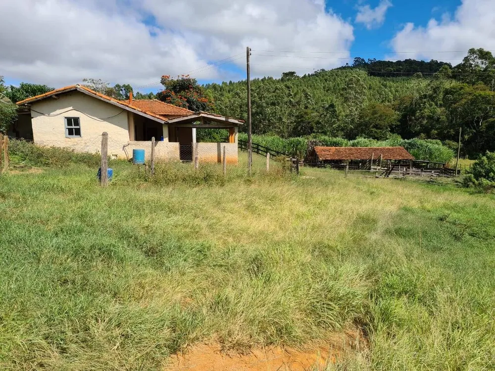 Sítio, 3 quartos, 51 hectares - Foto 9
