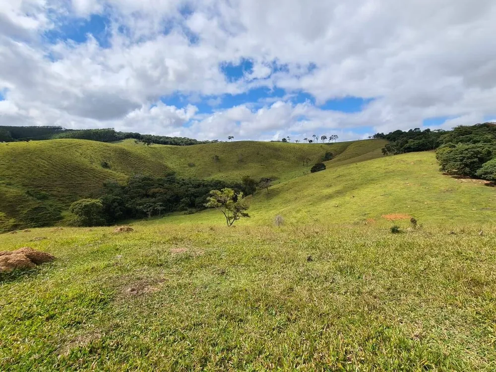 Sítio, 3 quartos, 51 hectares - Foto 10