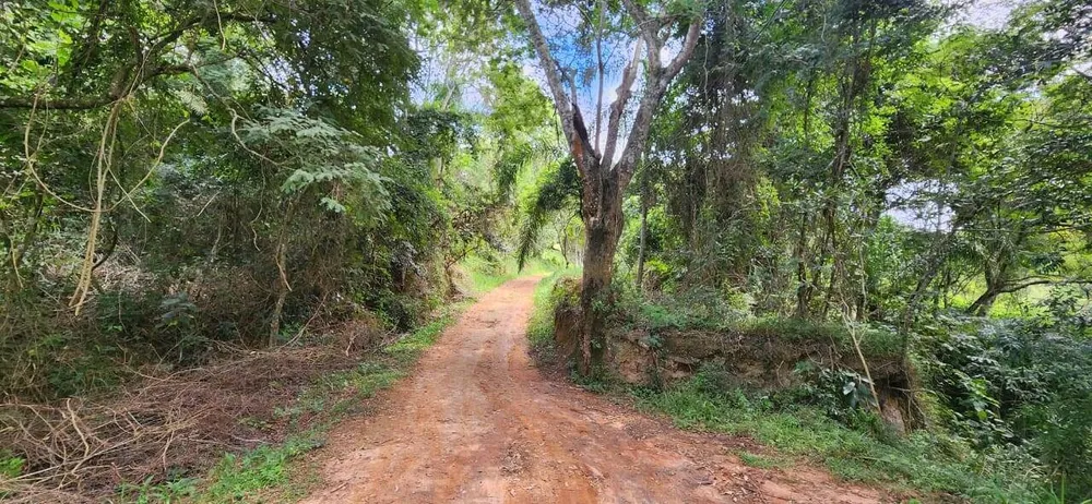 Sítio, 2 quartos, 12 hectares - Foto 12