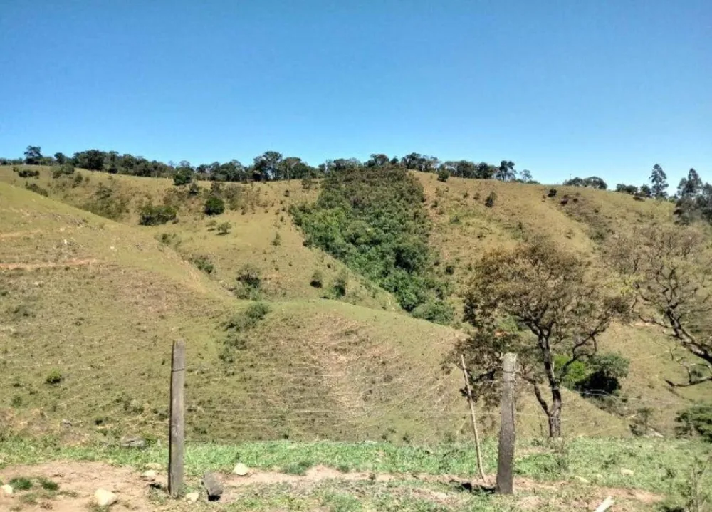 Sítio, 4 quartos, 131 hectares - Foto 7