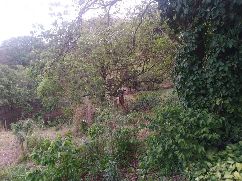 Sítio, 4 quartos, 2 hectares - Foto 7