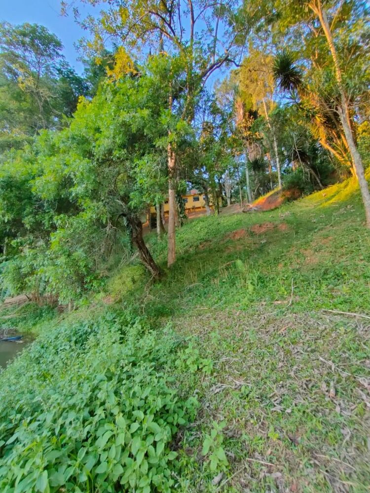Chácara, 3 quartos, 3200 m² - Foto 3