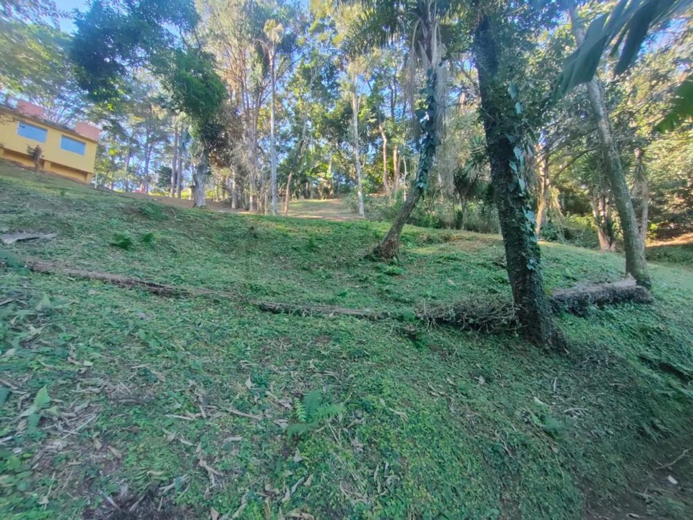 Chácara, 3 quartos, 3200 m² - Foto 2