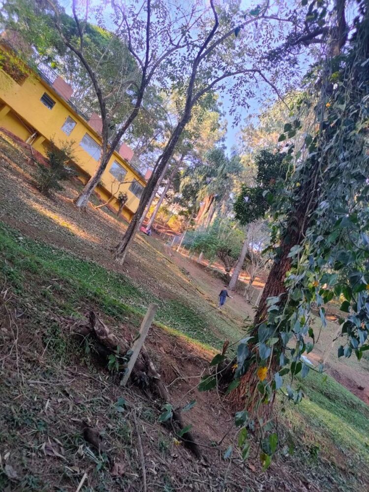 Chácara, 3 quartos, 3200 m² - Foto 7