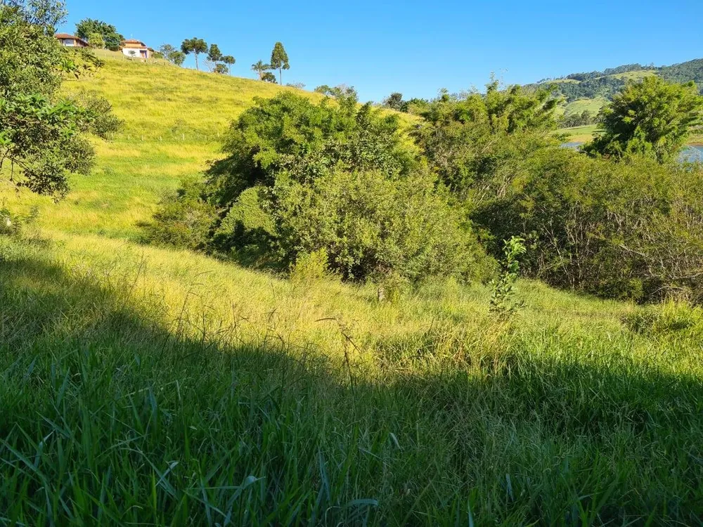 Terreno, 2 hectares - Foto 6