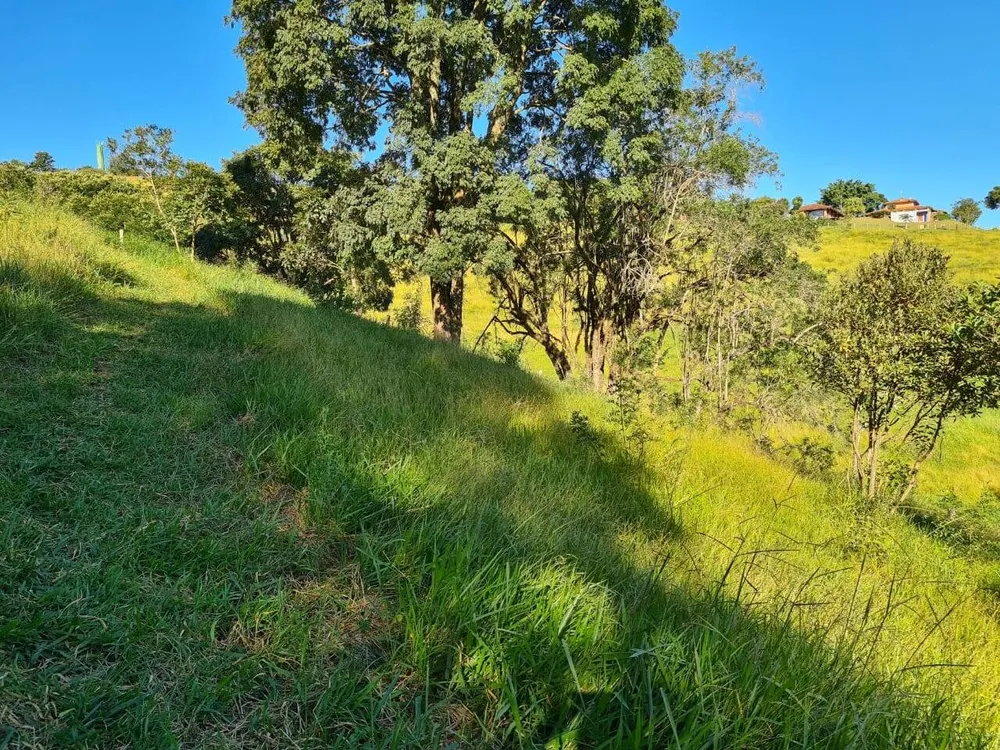Terreno, 2 hectares - Foto 7