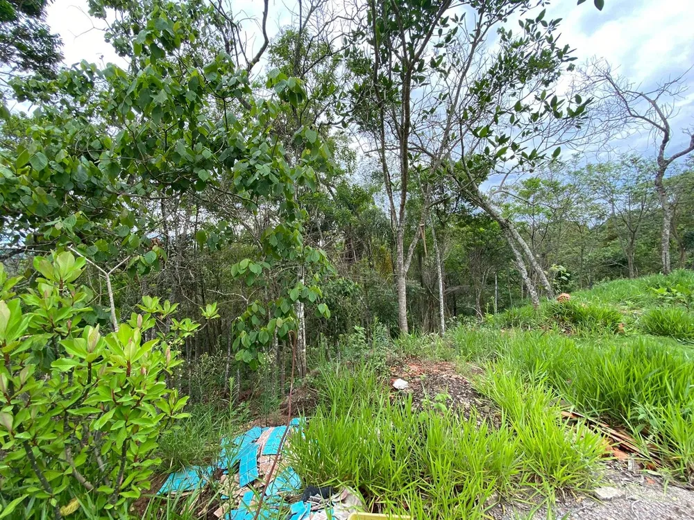 Chácara, 3 quartos, 5100 m² - Foto 7