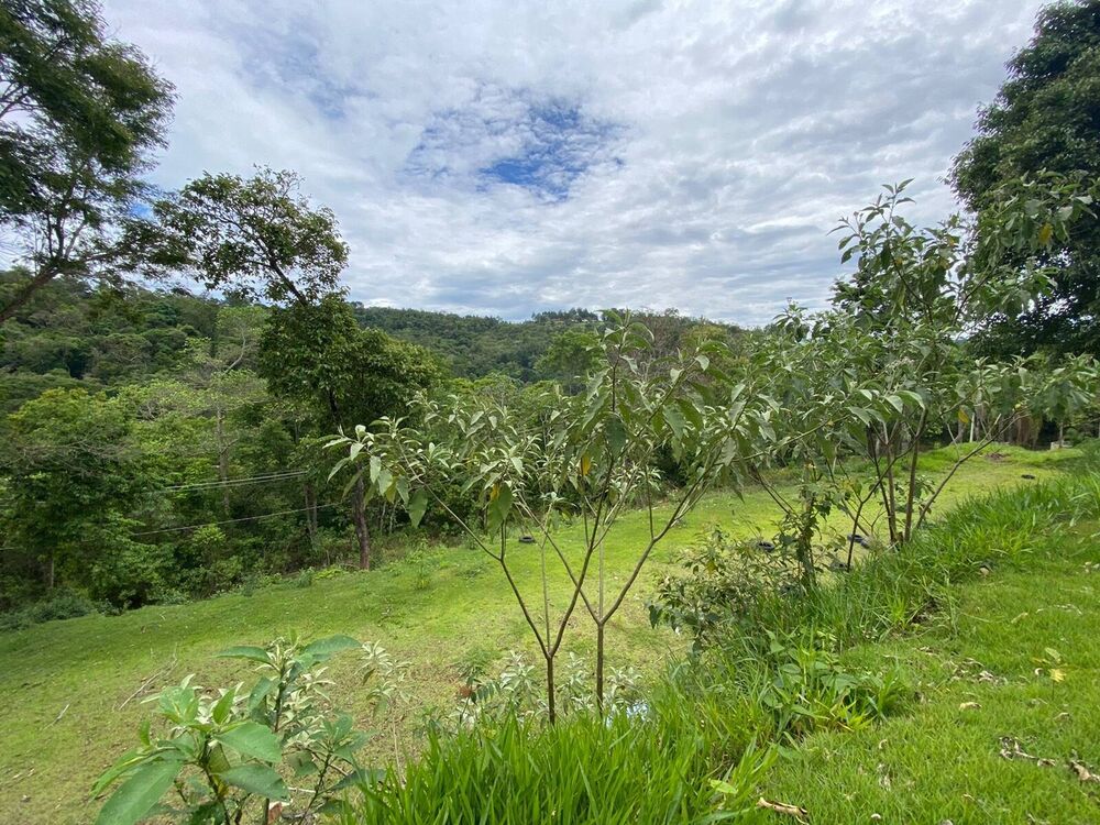 Chácara, 3 quartos, 5100 m² - Foto 11