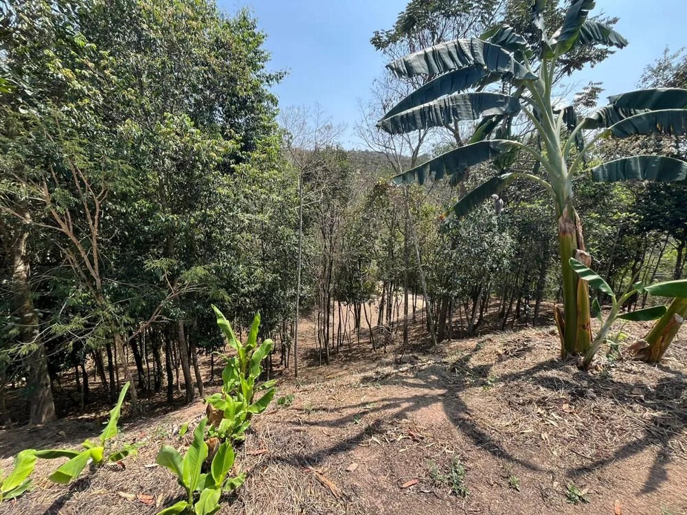 Terreno, 5000 m² - Foto 3
