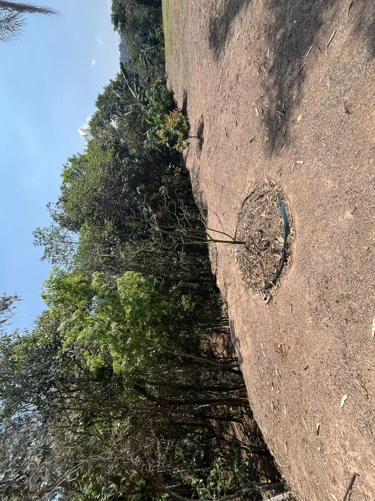 Terreno, 5000 m² - Foto 10