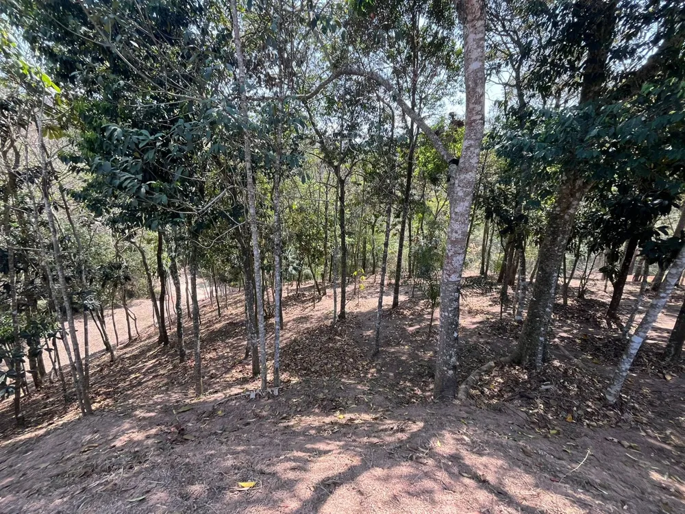 Terreno, 5000 m² - Foto 7