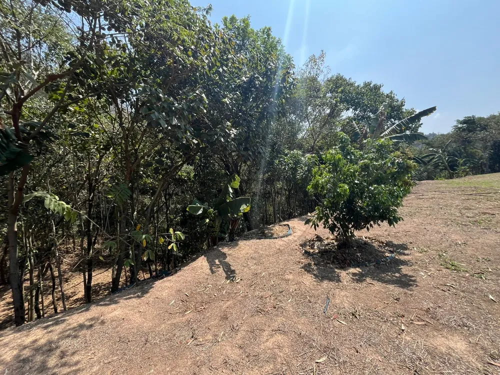 Terreno, 5000 m² - Foto 12