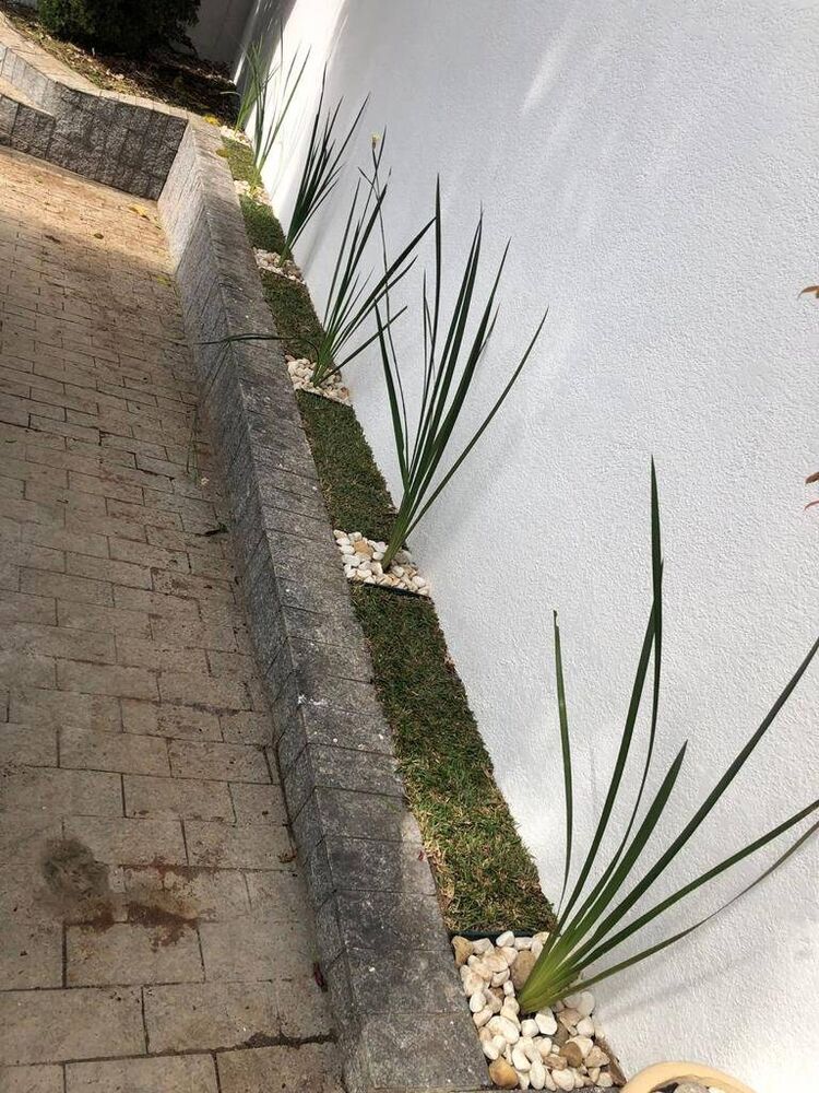 Casa, 4 quartos, 500 m² - Foto 4