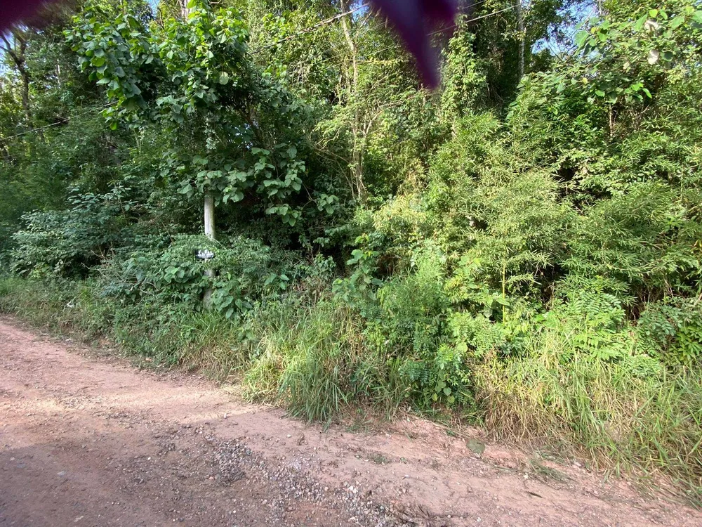 Terreno, 700 m² - Foto 1