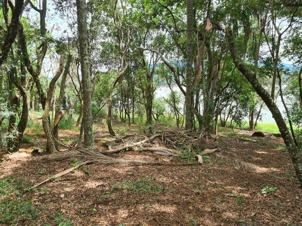 Chácara, 2 quartos, 6000 m² - Foto 3