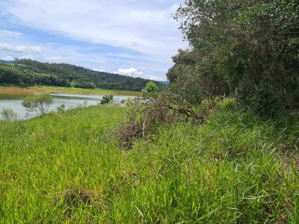 Chácara à venda com 2 quartos, 6000m² - Foto 4