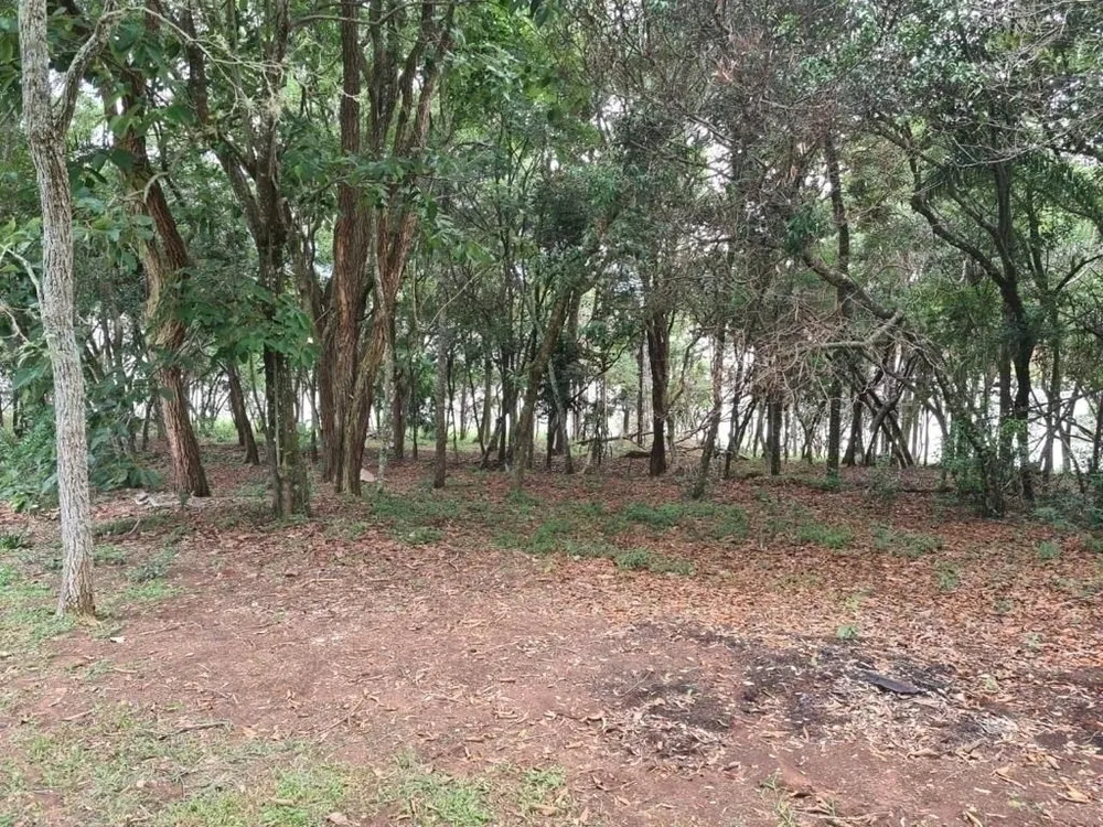 Chácara, 2 quartos, 6000 m² - Foto 9