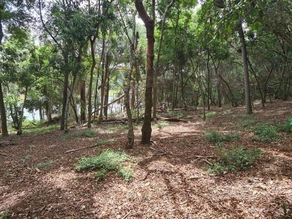 Chácara à venda com 2 quartos, 6000m² - Foto 2