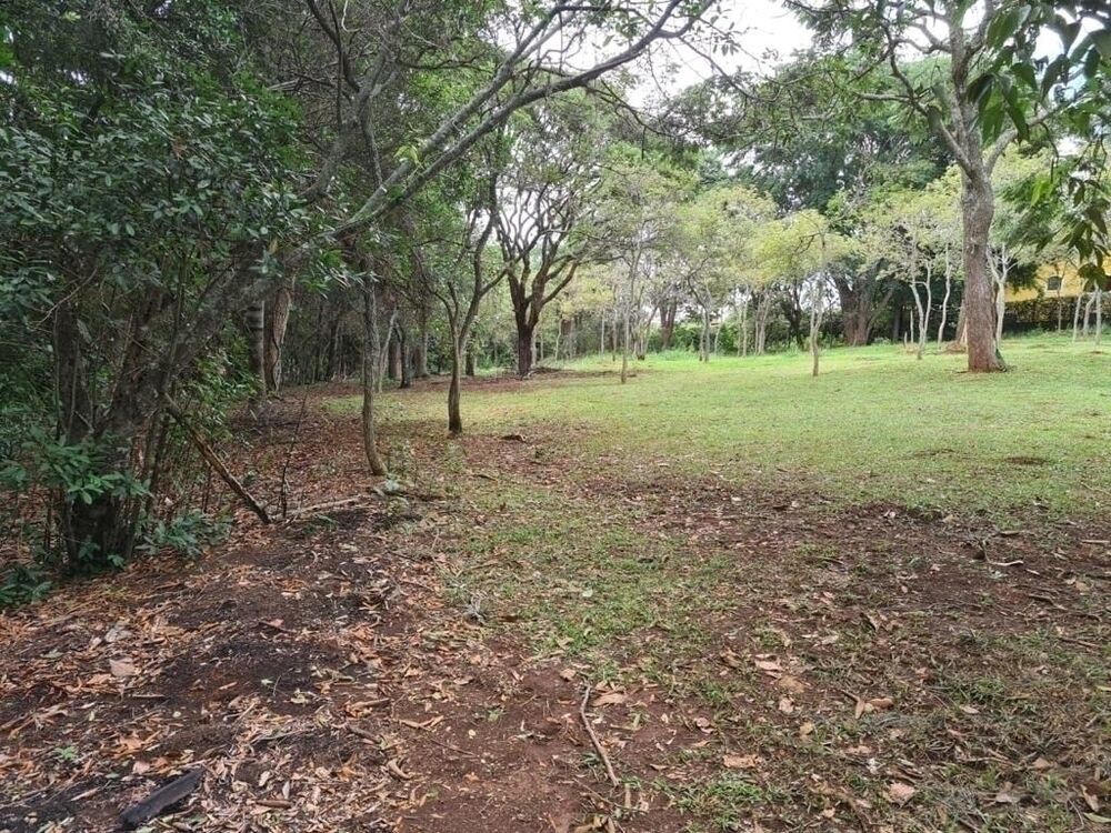 Chácara à venda com 2 quartos, 6000m² - Foto 3