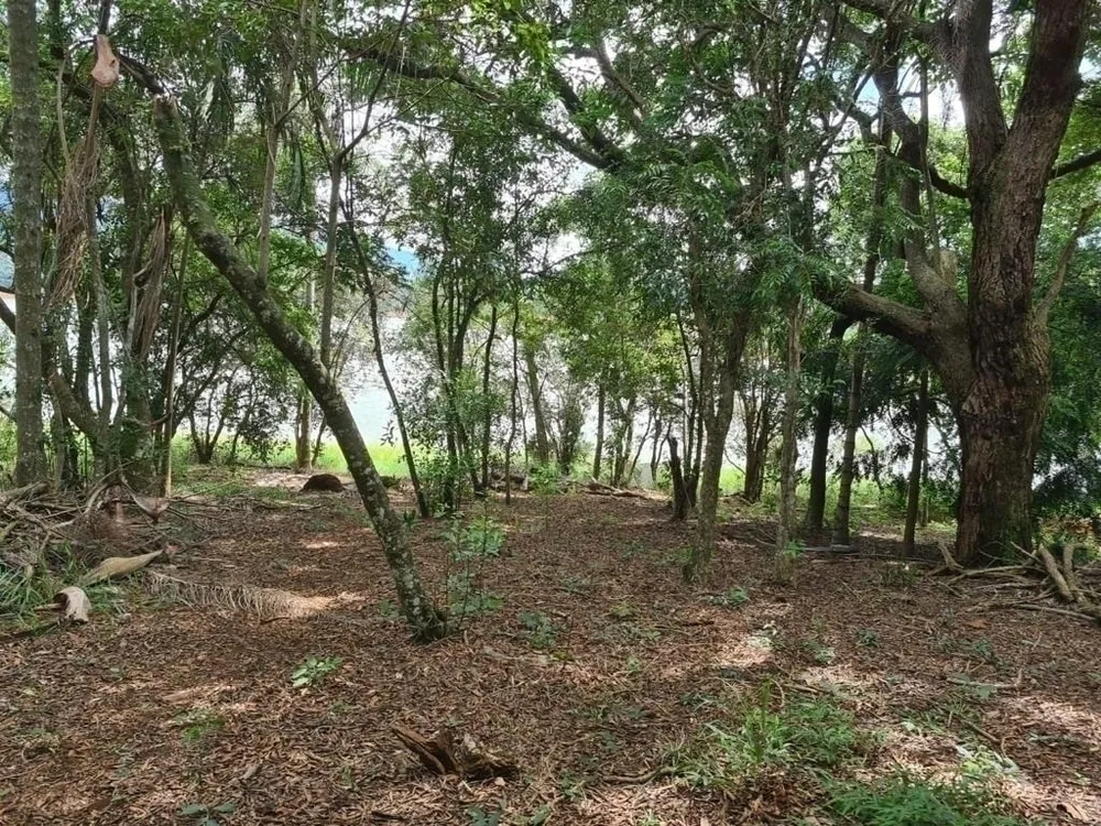 Chácara, 2 quartos, 6000 m² - Foto 4