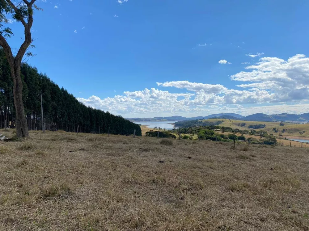 Terreno à venda, 20000m² - Foto 3