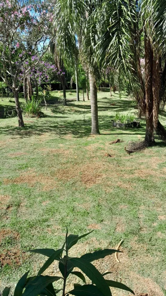 Chácara, 5 quartos, 3662 m² - Foto 14
