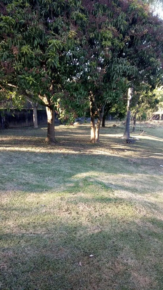 Chácara, 5 quartos, 3662 m² - Foto 9