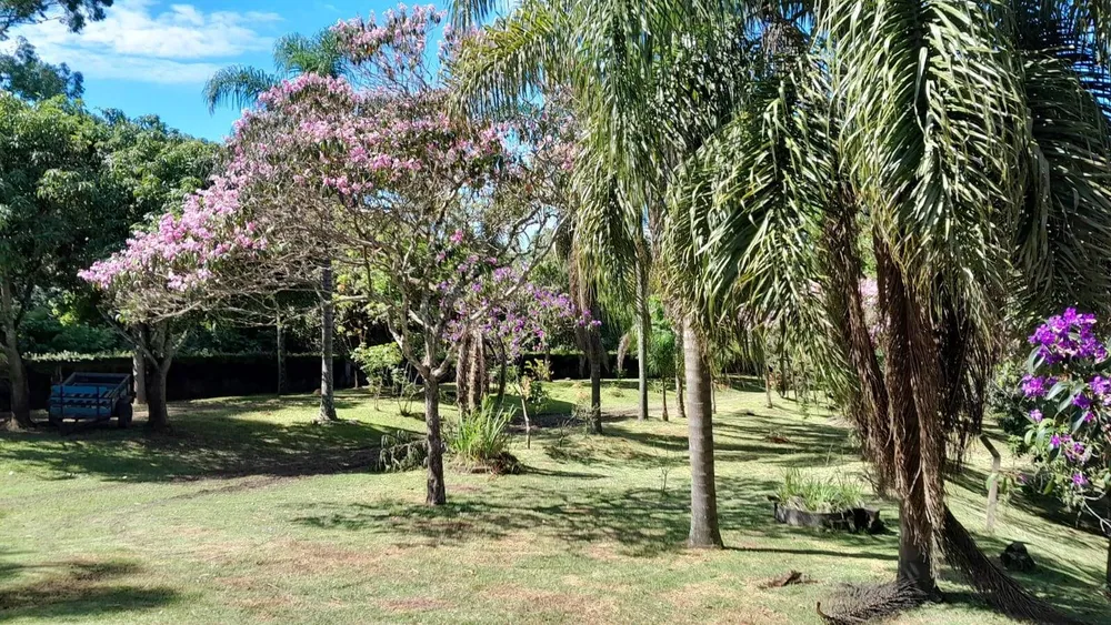 Chácara, 5 quartos, 3662 m² - Foto 15