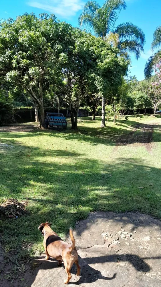 Chácara, 5 quartos, 3662 m² - Foto 12